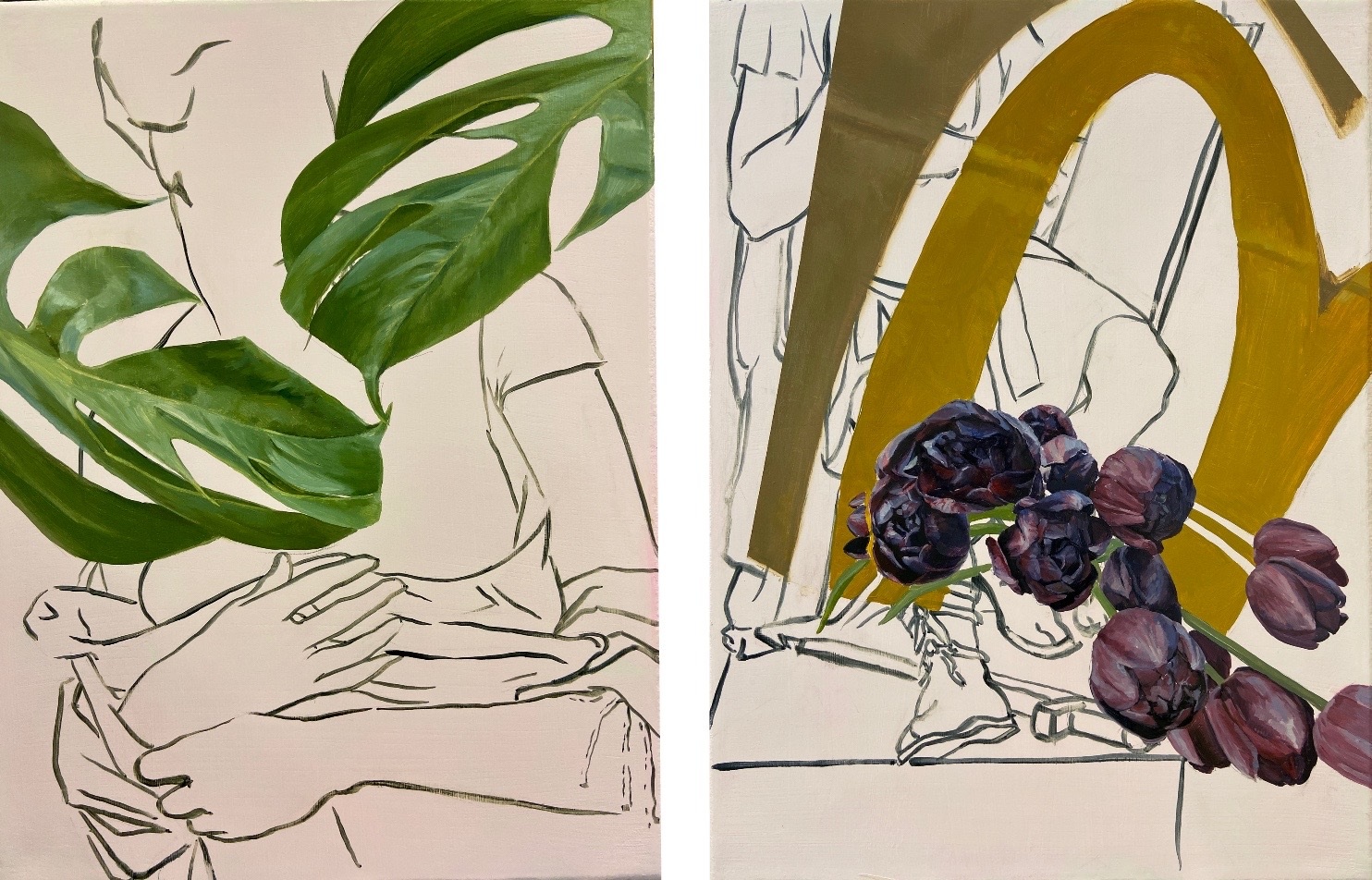 Narcissus